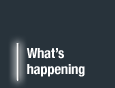 Digital Market News