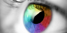 observe